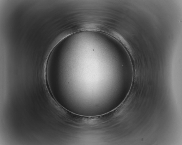 X0000089341386200706151035