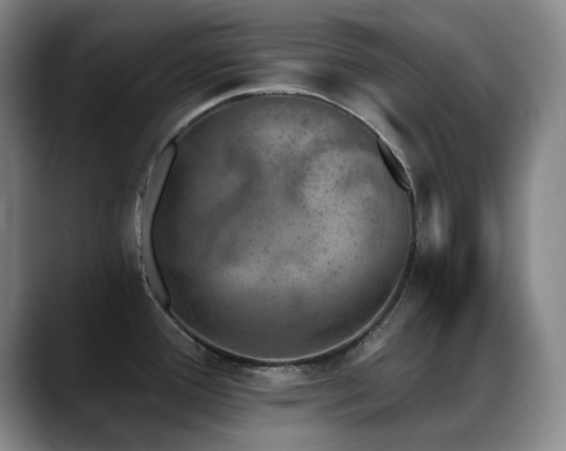 X0000089341388200706151035