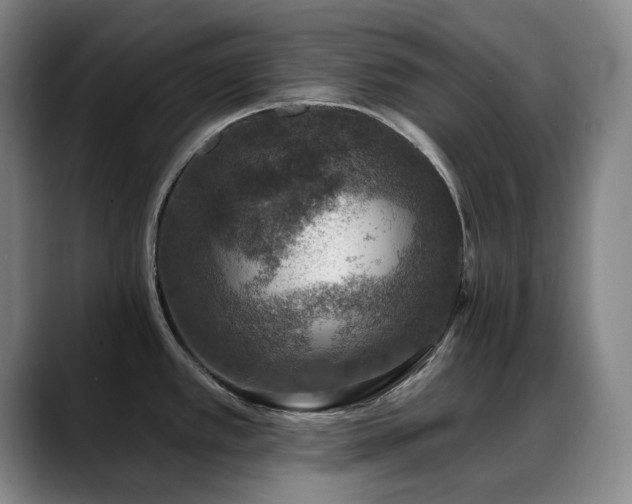 X0000089341389200706151035