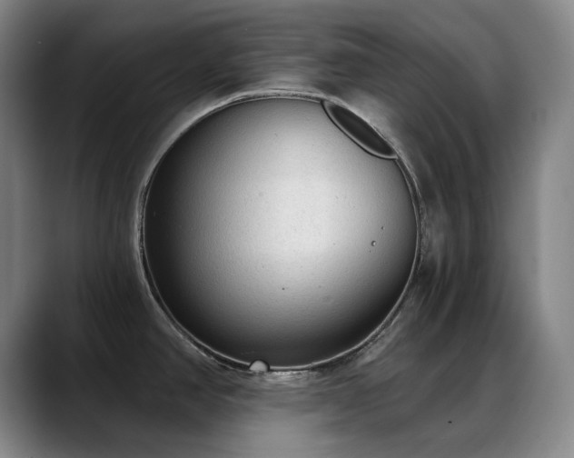 X0000089341390200706151035