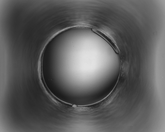 X0000089341391200706151035