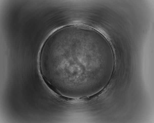 X0000089341392200706151035