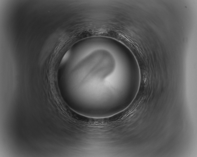 X0000089341393200706151035