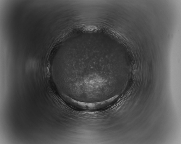 X0000089341394200706151035