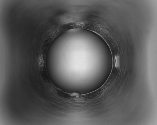 X0000089341395200706151035