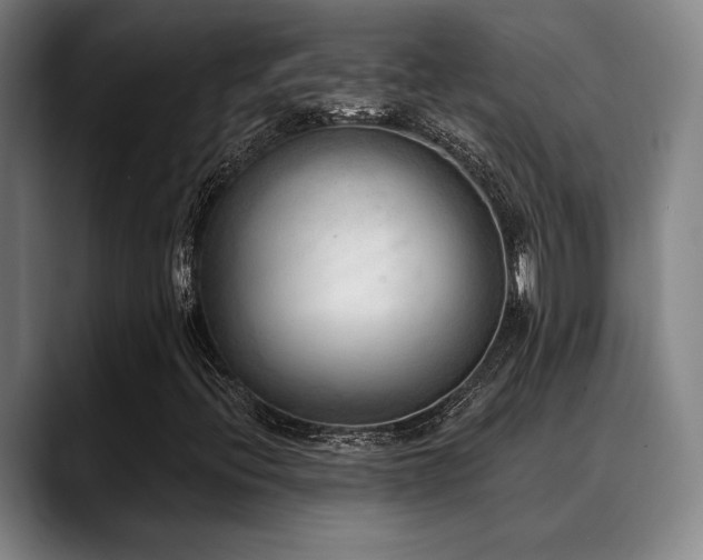 X0000089341396200706151035