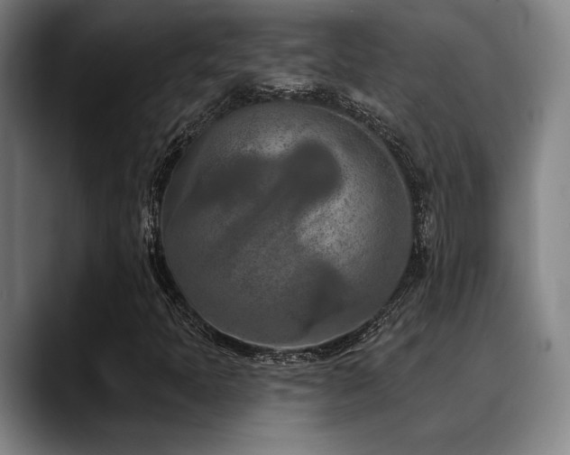 X0000089341397200706151035