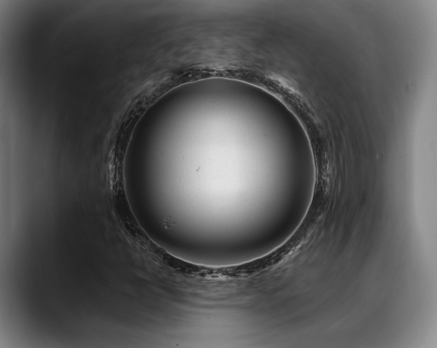 X0000089341398200706151035