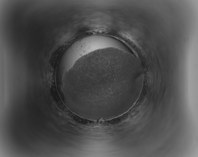 X0000089341399200706151035