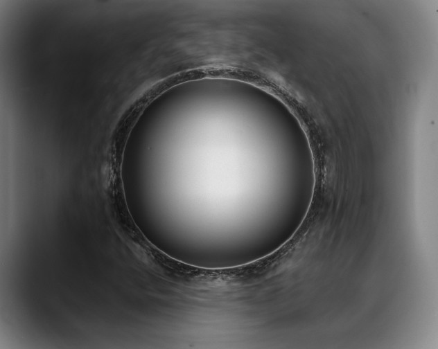 X0000089341400200706151035