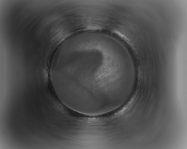 X0000089341401200706151035