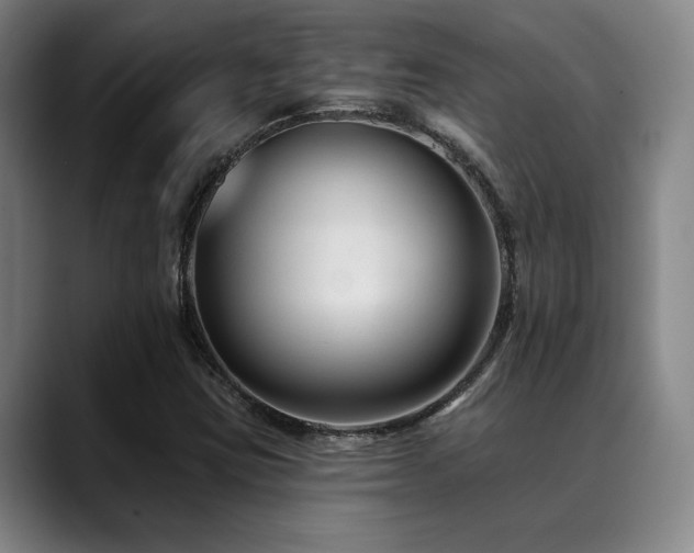 X0000089341403200706151035