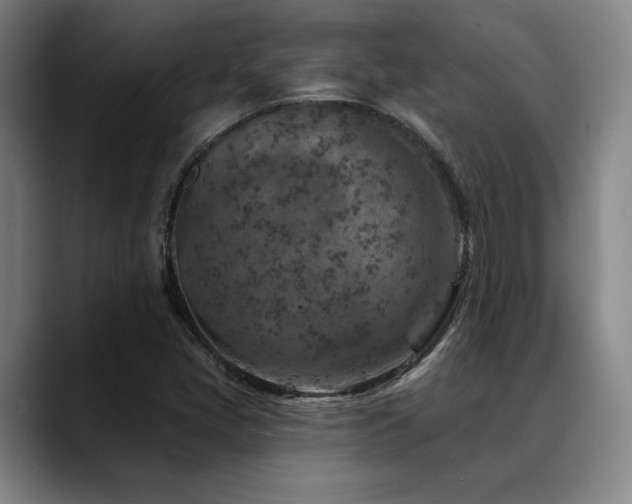 X0000089341405200706151035