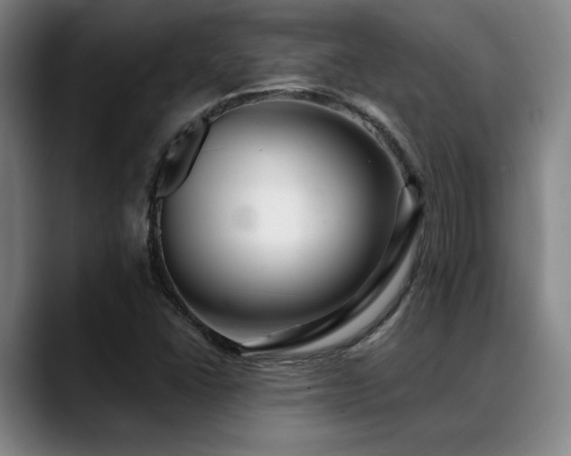 X0000089341406200706151035