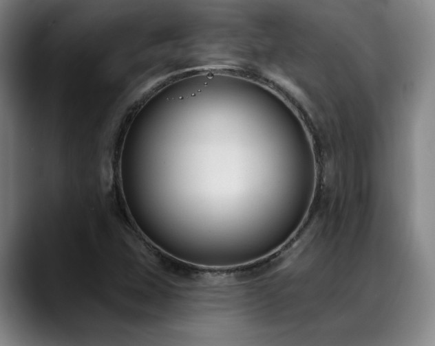 X0000089341407200706151035