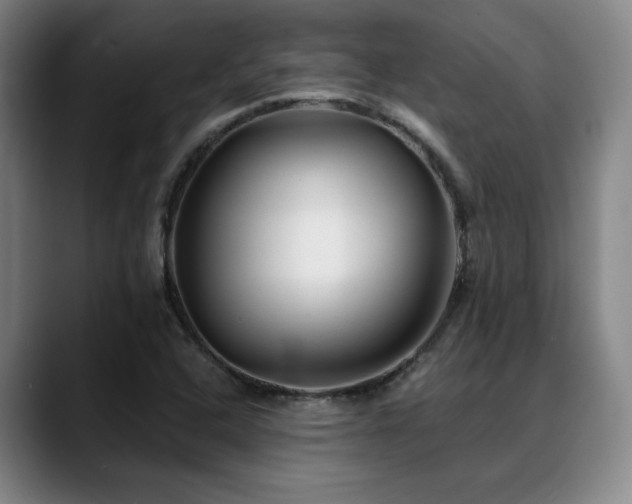 X0000089341408200706151035