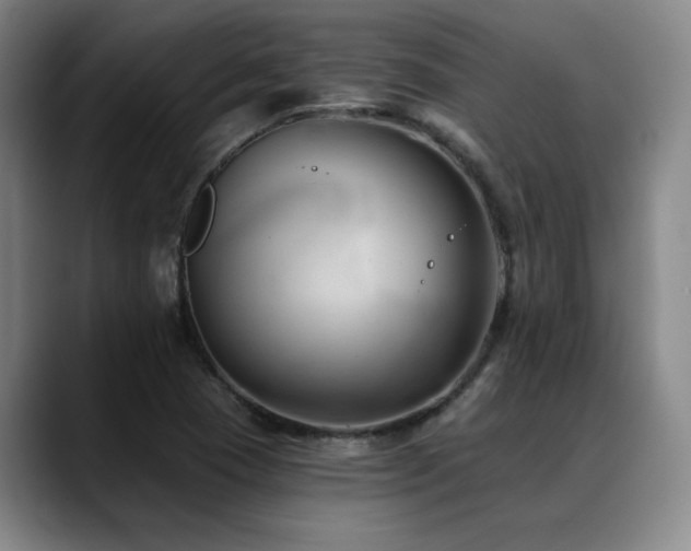 X0000089341409200706151035