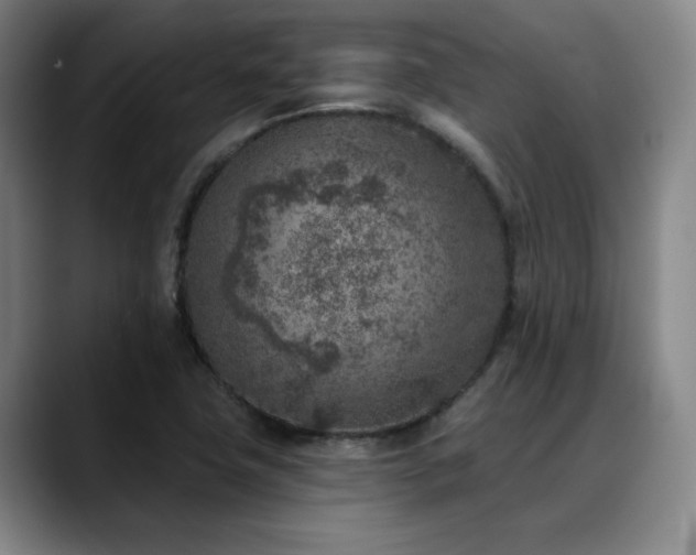 X0000089341411200706151035