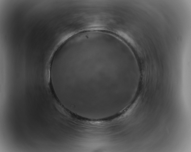 X0000089341413200706151035