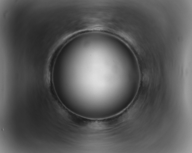 X0000089341414200706151035