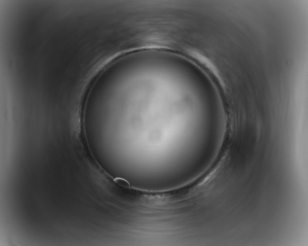 X0000089341415200706151035