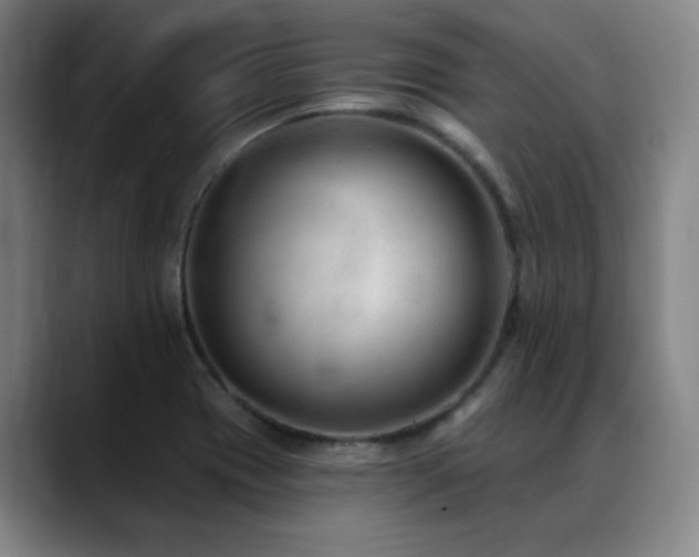 X0000089341417200706151035