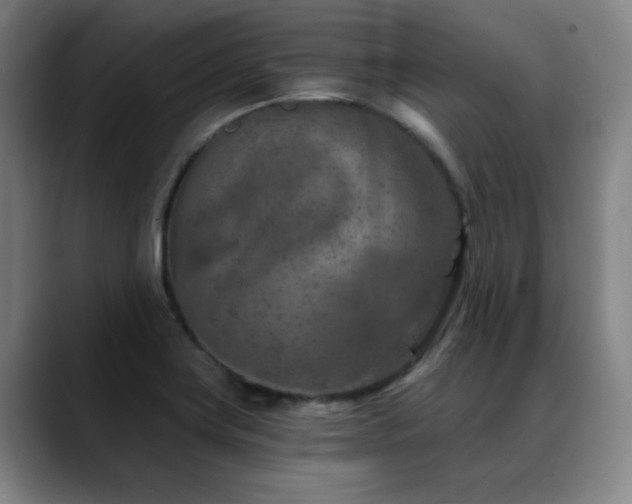 X0000089341419200706151035