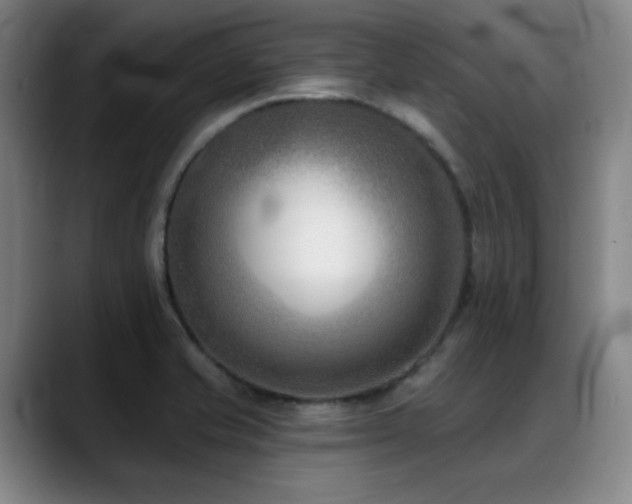 X0000089341421200706151035