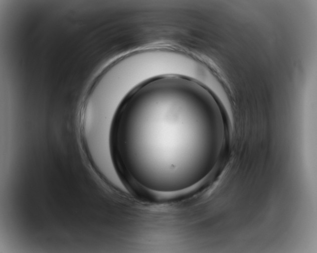 X0000089341422200706151035