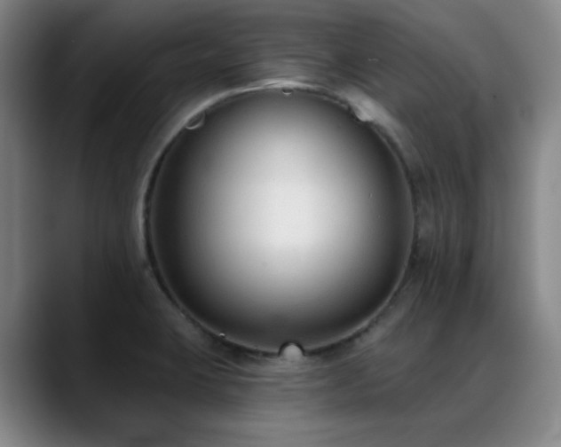 X0000089341423200706151035