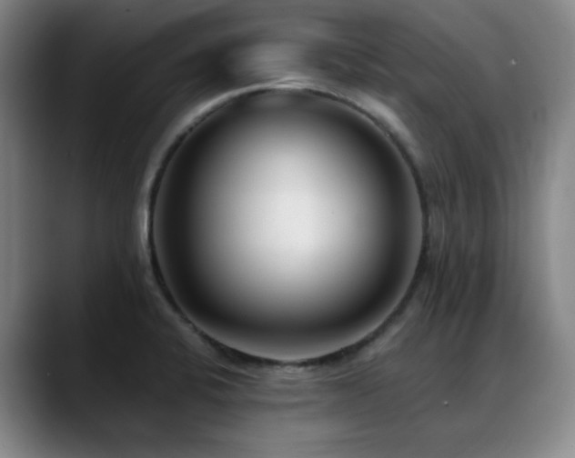 X0000089341424200706151035