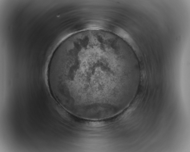 X0000089341427200706151035