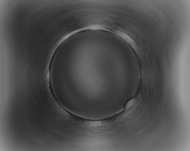 X0000089341428200706151035
