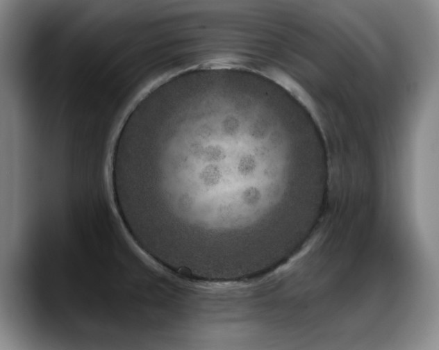 X0000089341429200706151035