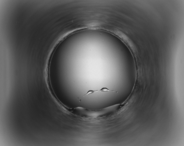 X0000089341432200706151035