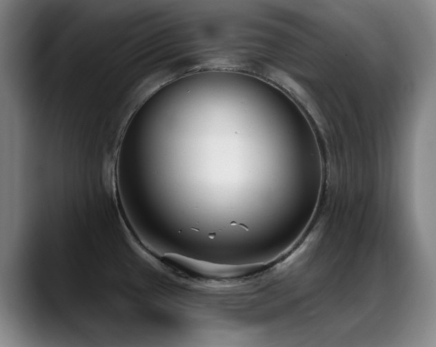 X0000089341433200706151035