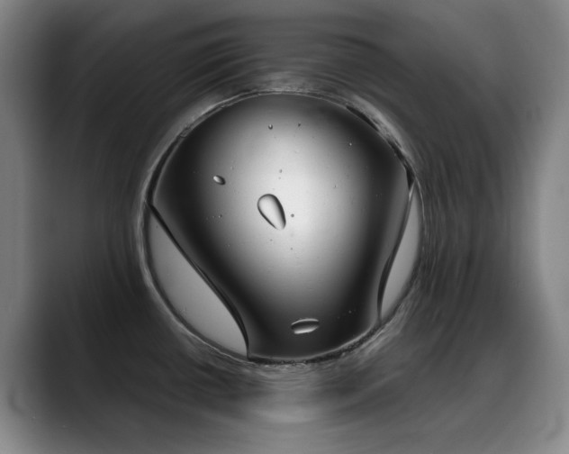 X0000089341434200706151035