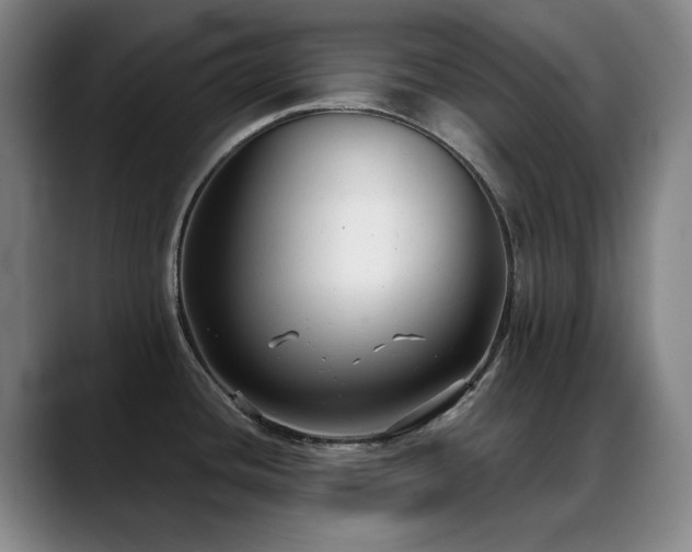 X0000089341436200706151035