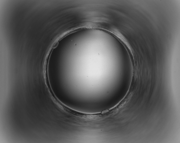 X0000089341437200706151035