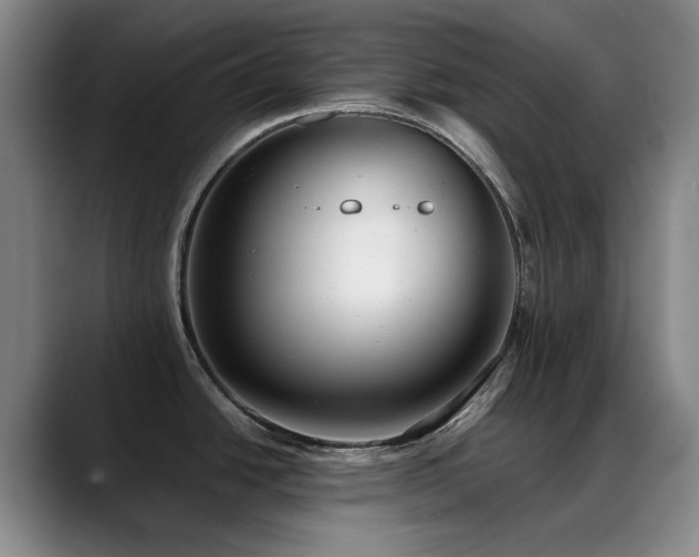 X0000089341438200706151035