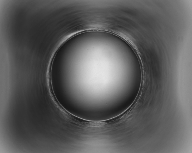X0000089341440200706151035
