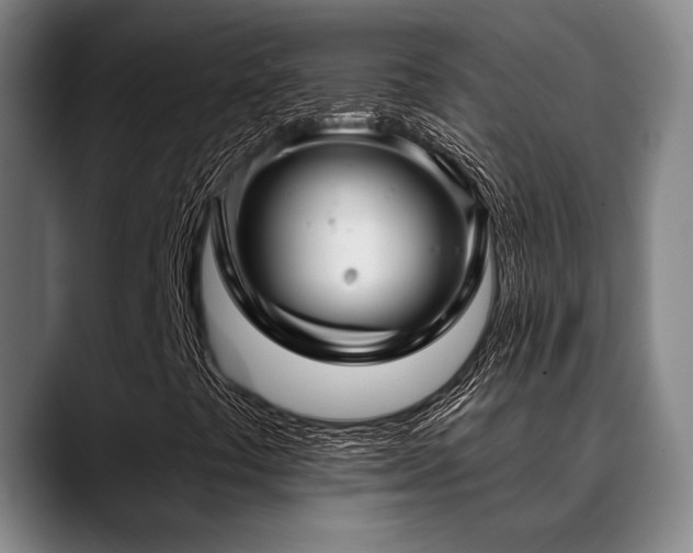 X0000089341441200706151035