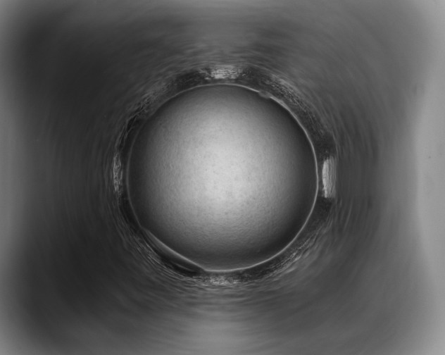 X0000089341443200706151035