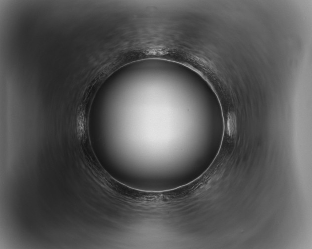 X0000089341444200706151035
