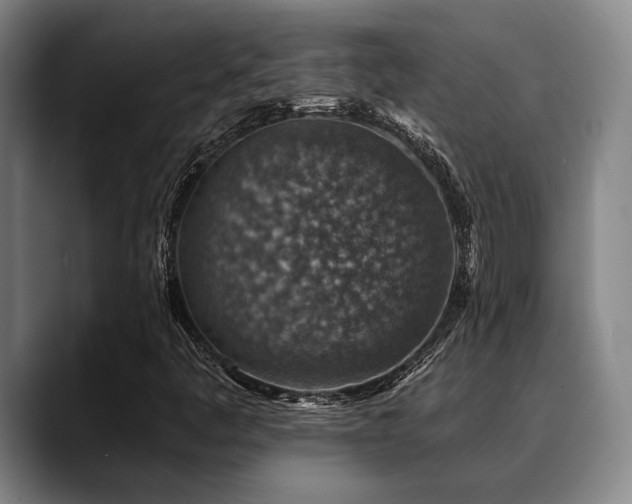 X0000089341445200706151035