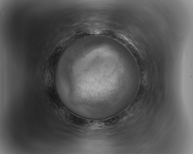 X0000089341446200706151035