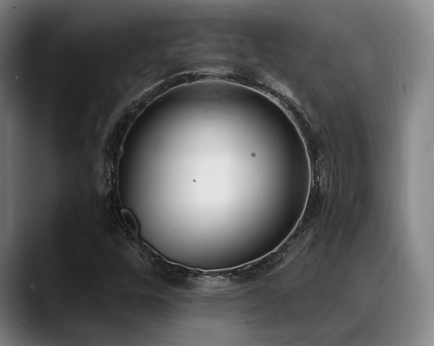 X0000089341448200706151035