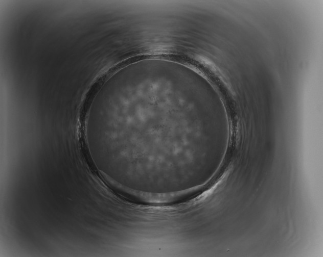 X0000089341449200706151035