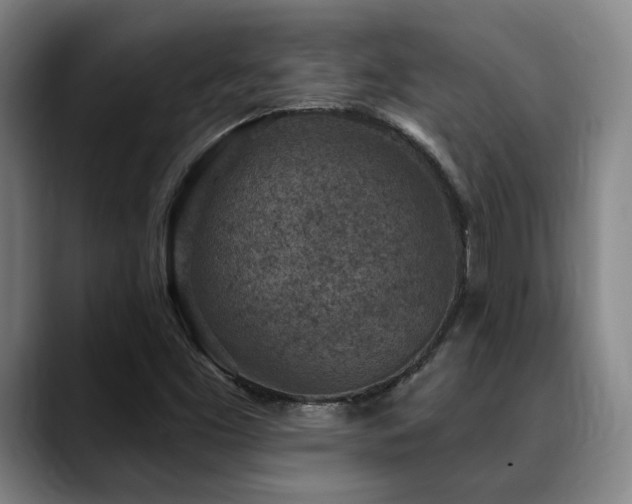 X0000089341453200706151035