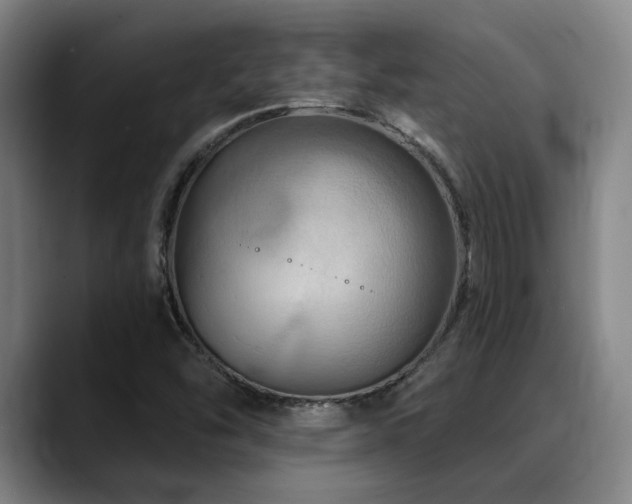 X0000089341454200706151035